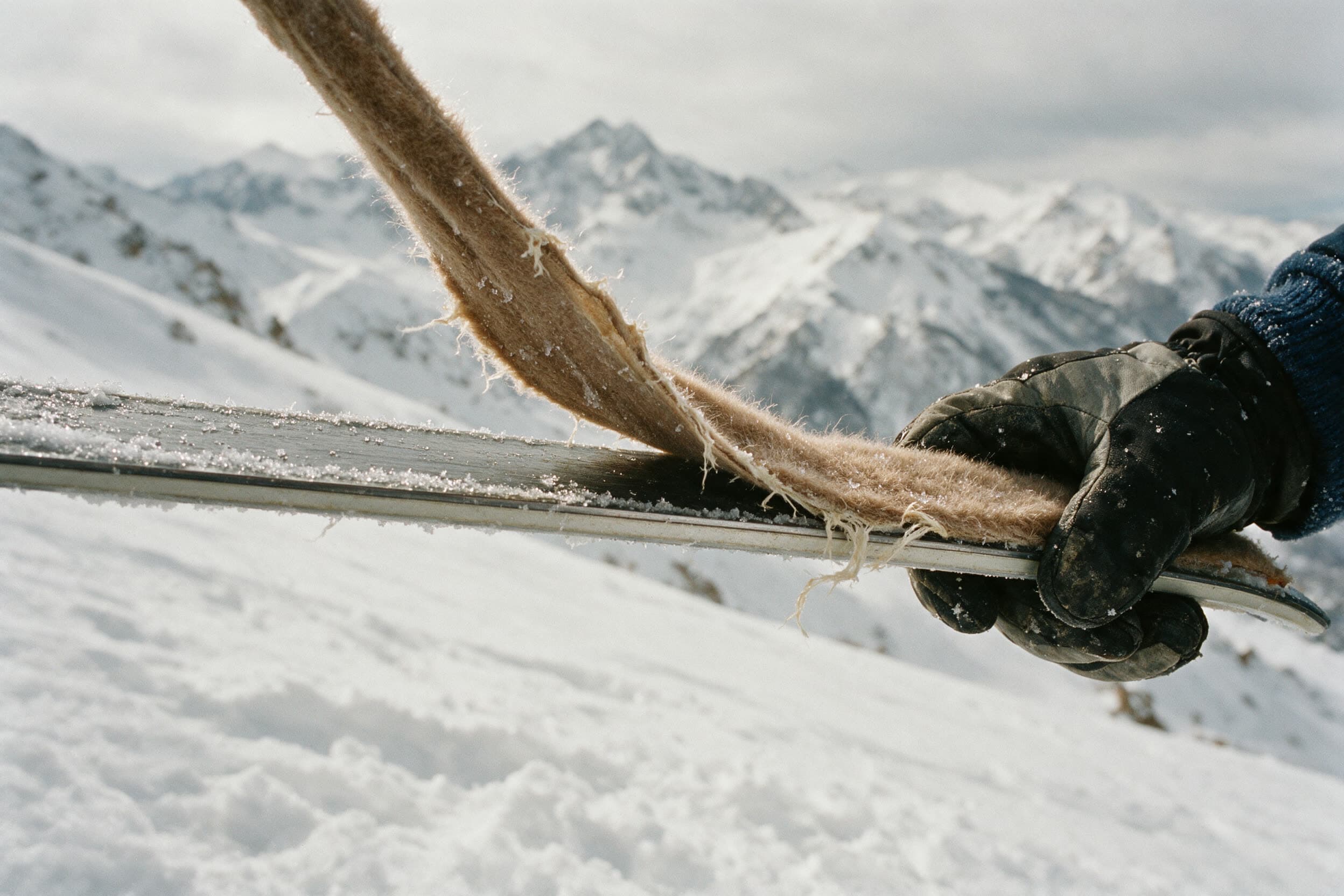 Steigfell wird vom Skibelag abgezogen, Eiskristalle an der Kante
