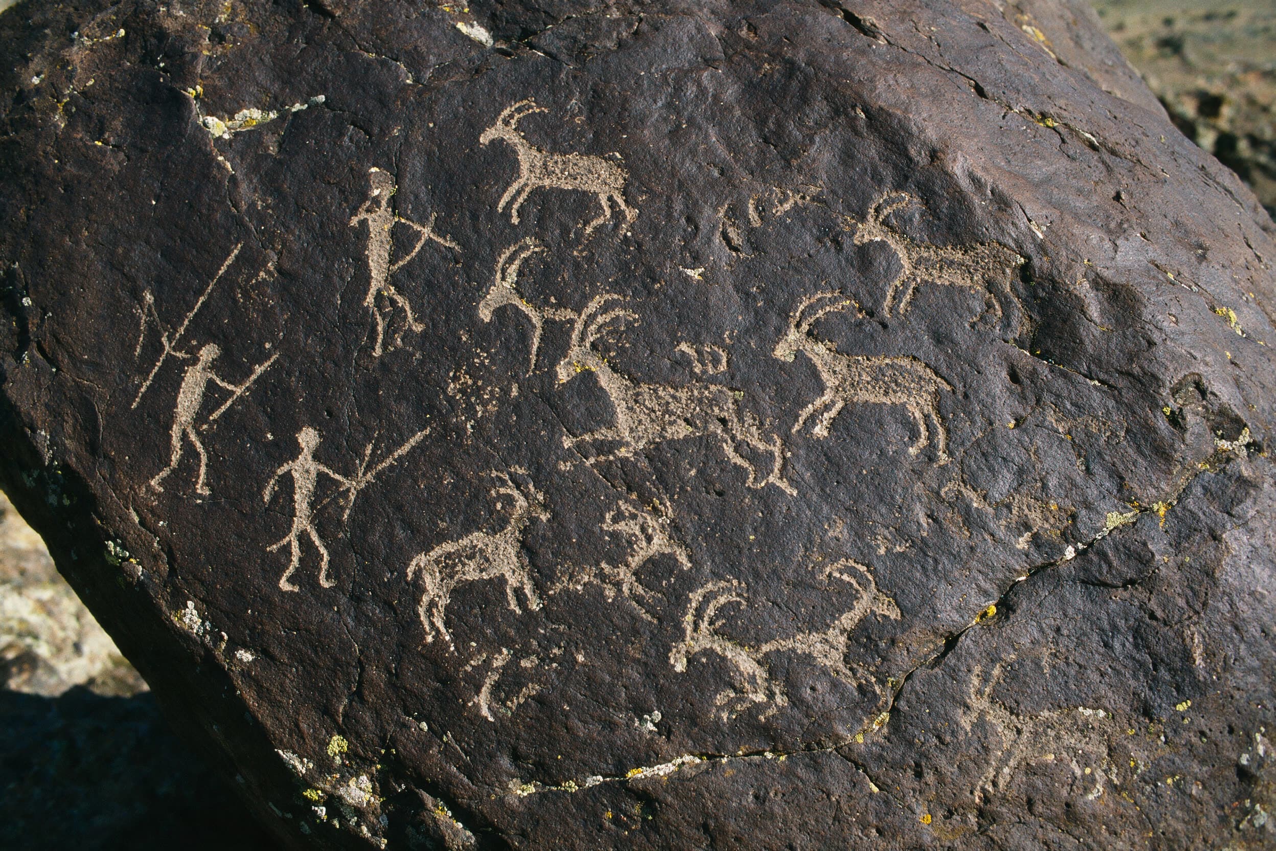 Prähistorische Felszeichnungen von Jägern und Steinböcken auf dunklem Basalt