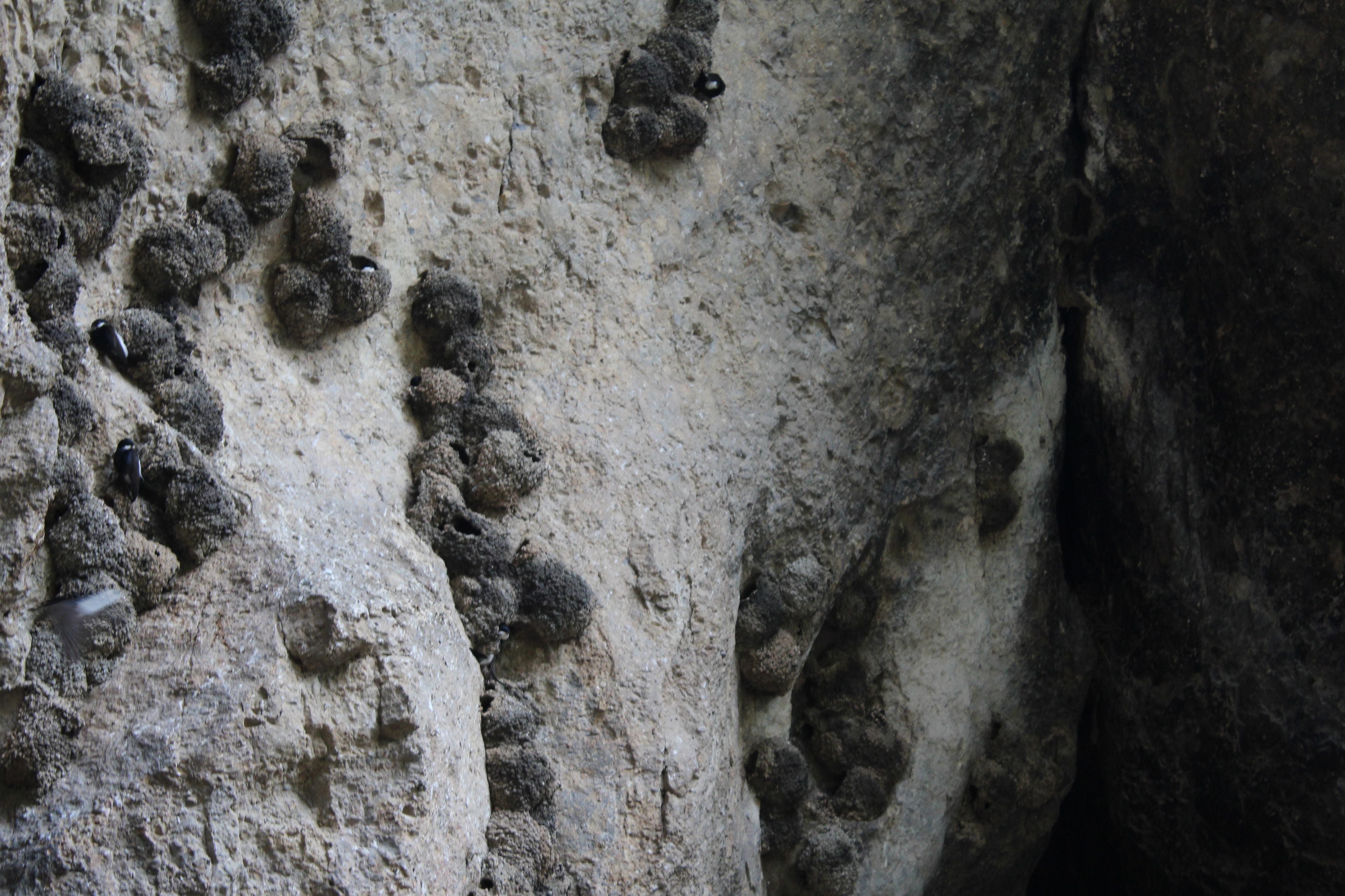 Eingang der Areni-1-Höhle am Arpa-Ufer in Vayots Dzor
