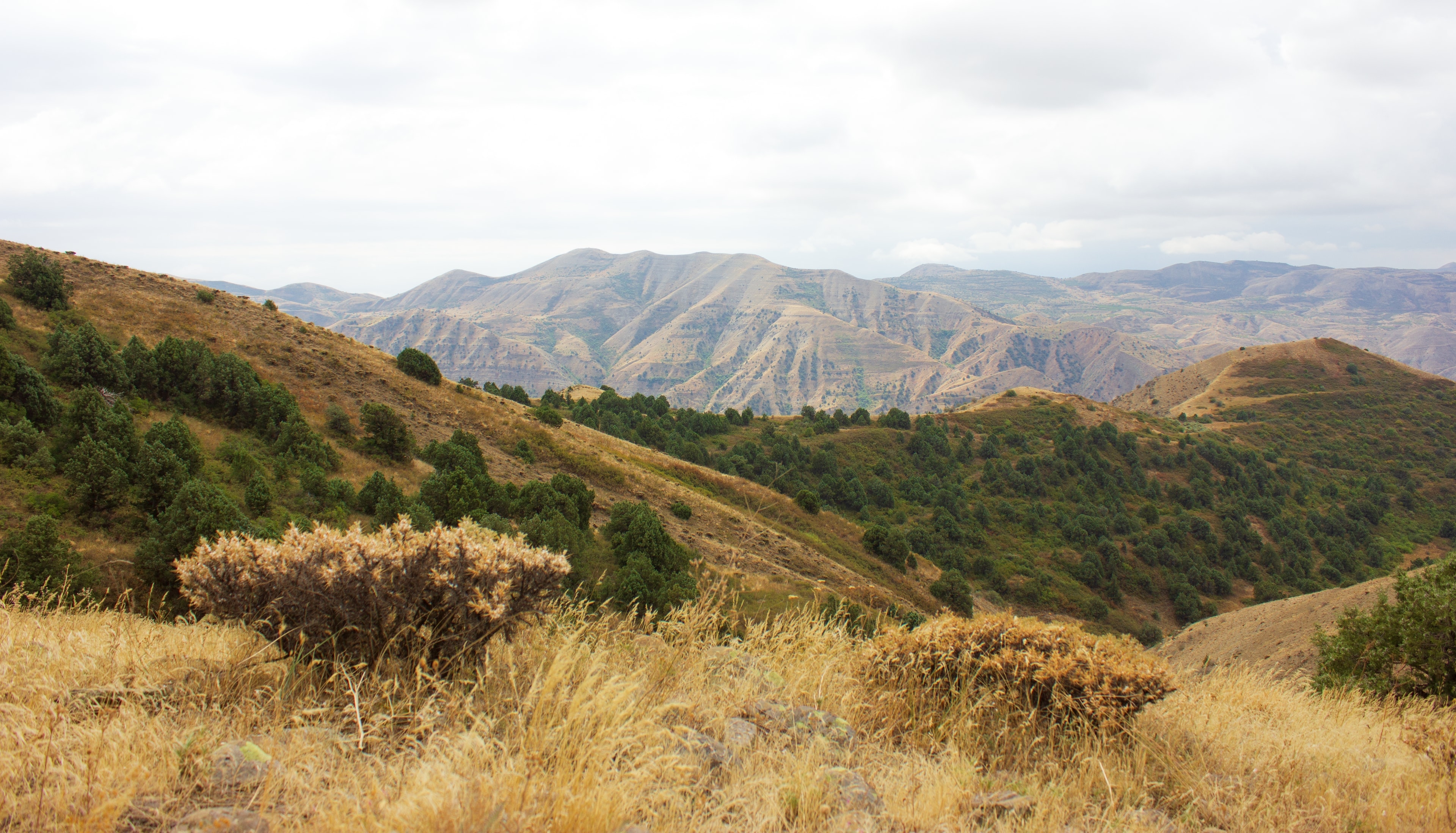 Khosrov Forest State Reserve in der Provinz Ararat, Armenien