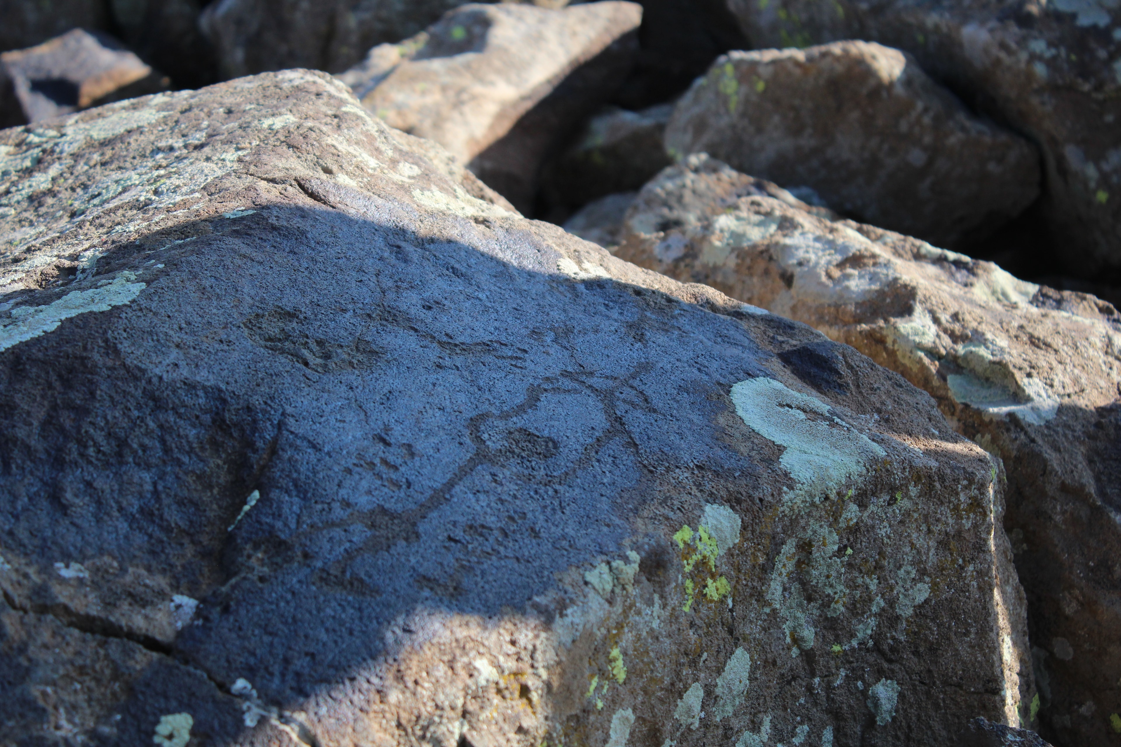 Bronzezeitliche Petroglyphen auf Basaltblock am Ughtasar